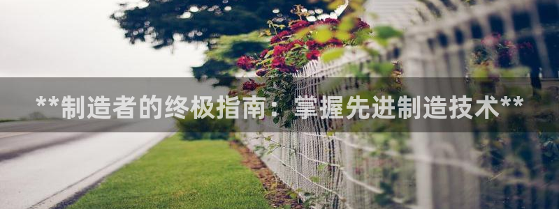 彩神vlll官方网