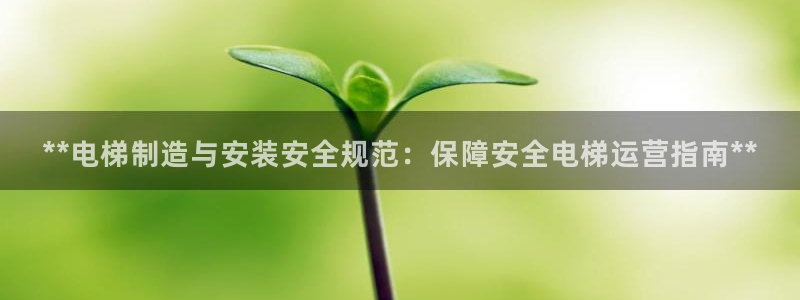 彩神ix能赚钱吗