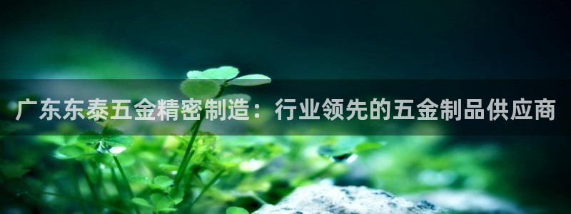 彩神VI首页