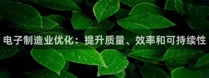 彩神平台是真的吗：电子制造业优化：提升质量、效率和可持续性