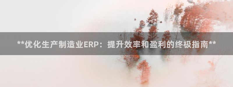 彩神vii购彩l心：**优化生产制造业ERP：提升效率和盈利