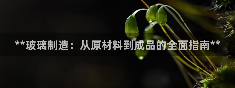 彩神平台是什么套路