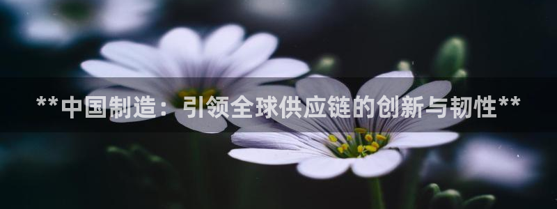 v大发彩神8iii