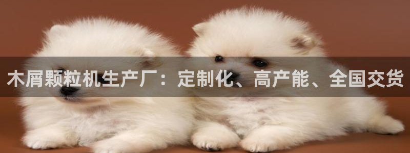彩神v破解版