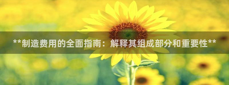大发彩神争