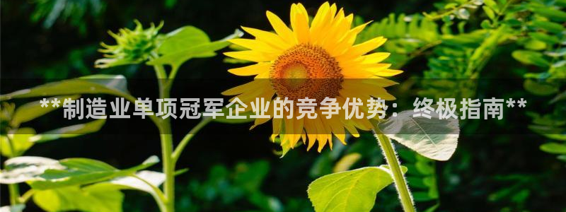 彩神v8首页