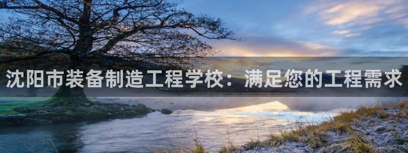 彩神V8有限公司