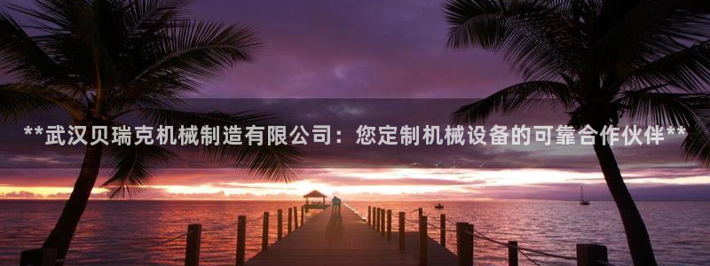 新版彩神v8登录不上去：**武汉贝瑞克机械制造有限公司：您定制机械设备的可靠合作伙伴**
