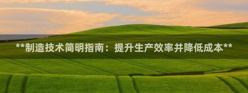彩神iv争霸购彩大厅：**制造技术简明指南：提升生产效率并降低成本**