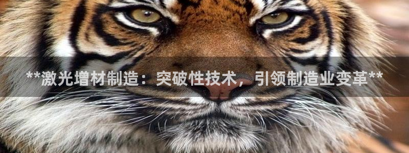 彩神V购彩大厅：**激光增材制造：突破性技术，引领制造业变革