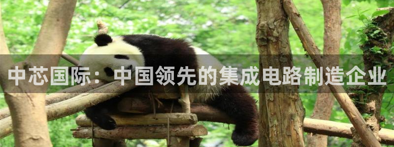 彩神iv真的能赚钱吗