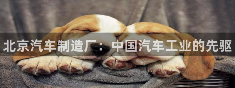 彩神v8购彩大厅登