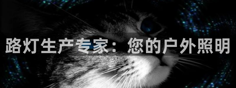 彩神viii下载安卓