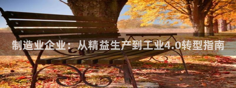 彩神是什么平台