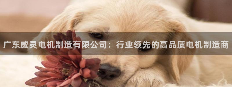 彩神v8手机客户端怎么下载