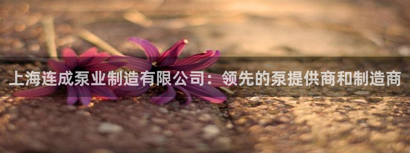 彩神vip购彩大厅