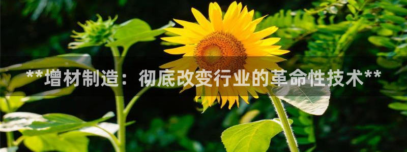 彩神vii官网