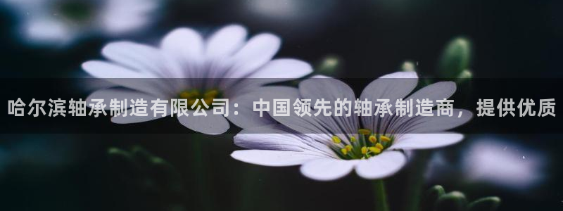 彩神是正规平台吗：哈尔滨轴承制造有限公司：中国领先的轴承制造