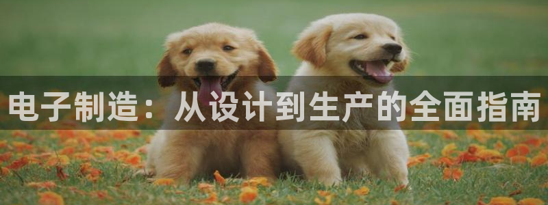 彩神iv真的能赚钱吗