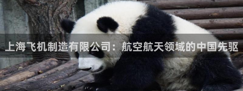 彩神vlll游戏特色