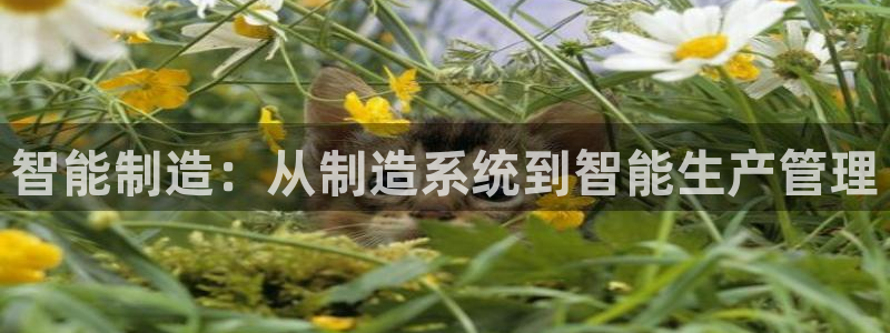 彩神V8平台：智能制造：从制造系统到智能生产管理