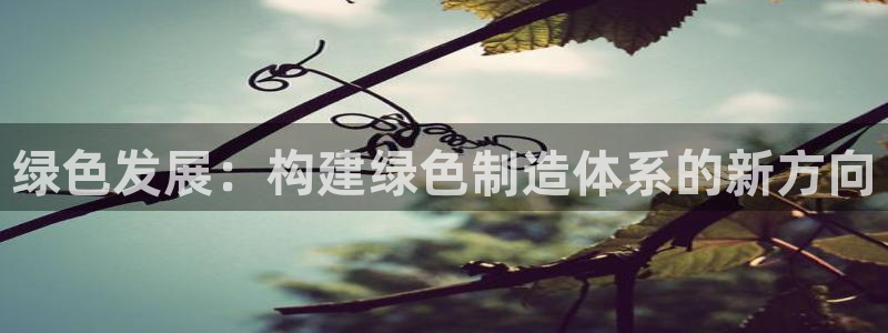 彩神V8有限公司