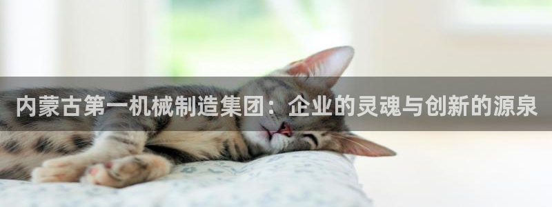 彩神v破解版