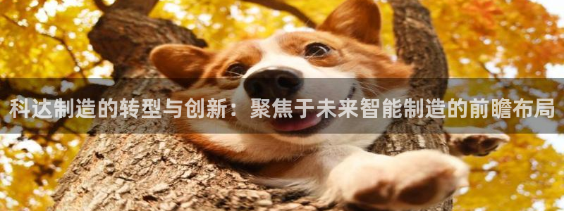 彩神xapp官方网站