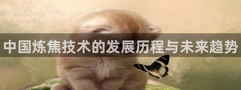 彩神viii官网：中国炼焦技术的发展历程与未来趋势