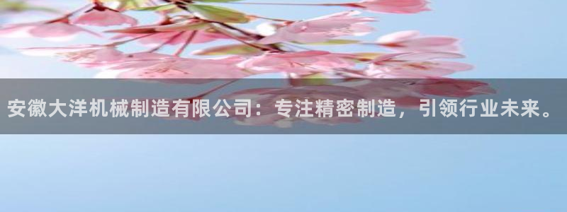 彩神是正规平台吗是真的吗：安徽大洋机械制造有限公司：专注精密