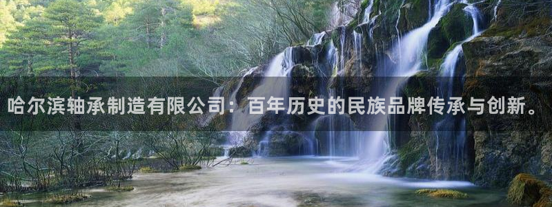彩神Vii购彩-购彩大厅：哈尔滨轴承制造有限公司：百年历史的