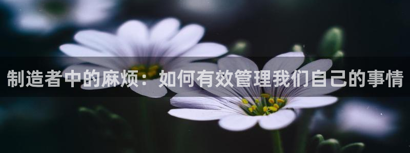 彩神v：制造者中的麻烦：如何有效管理我们自己的事情