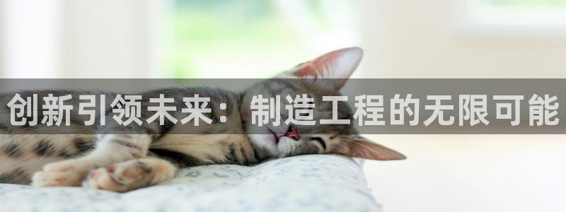 彩神广告有限公司：创新引领未来：制造工程的无限可能