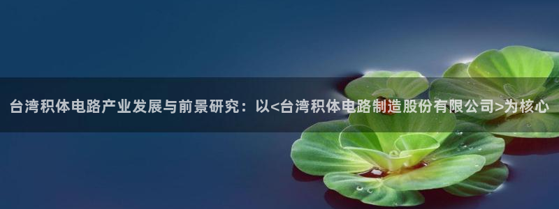 新版彩神v8登录教程：台湾积体电路产业发展与前景研究：以<台湾积体电路制造股份有限公司>为核心