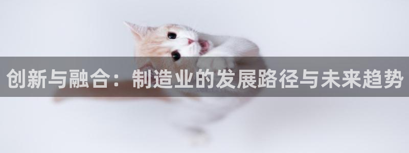 彩神v8下载网址：创新与融合：制造业的发展路径与未来趋势