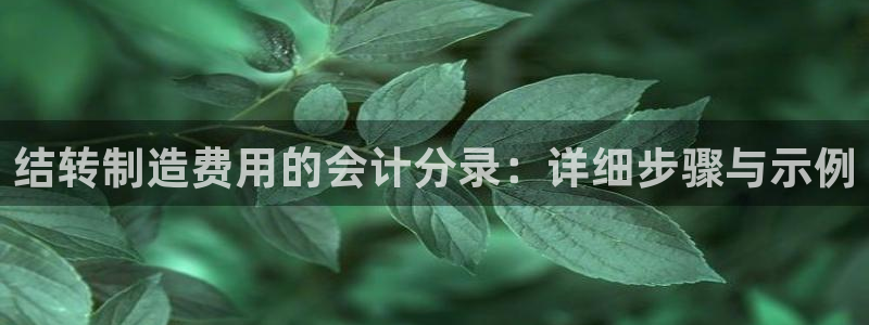 彩神vl购彩大厅：结转制造费用的会计分录：详细步骤与示例