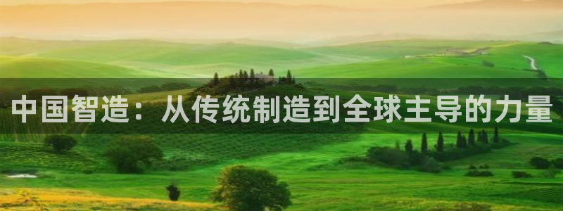 下载彩神争霸谁与我争锋：中国智造：从传统制造到全球主导的力量