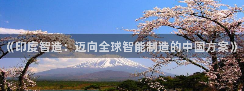 彩神v网赌软件下载：《印度智造：迈向全球智能制造的中国方案》