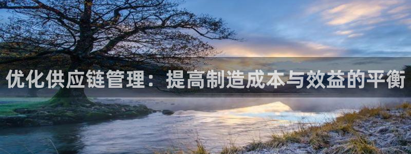 彩神8彩平台官网：优化供应链管理：提高制造成本与效益的平衡