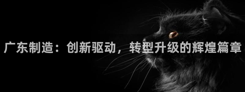 彩神ix官网是哪个公司的