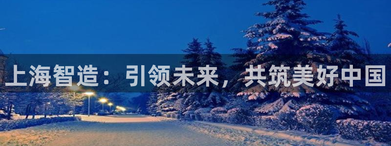 彩神v违法么：上海智造：引领未来，共筑美好中国
