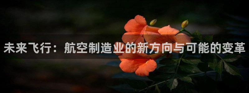 彩神新微聊：未来飞行：航空制造业的新方向与可能的变革