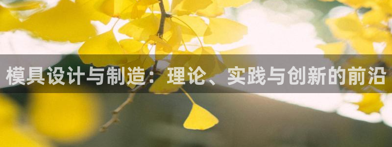 彩神购彩-购彩大厅入口：模具设计与制造：理论、实践与创新的前沿