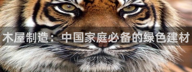 彩神v彩搜狗：木屋制造：中国家庭必备的绿色建材